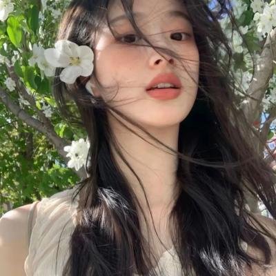 织田信奈的野望