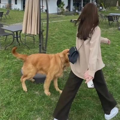 象限之眼